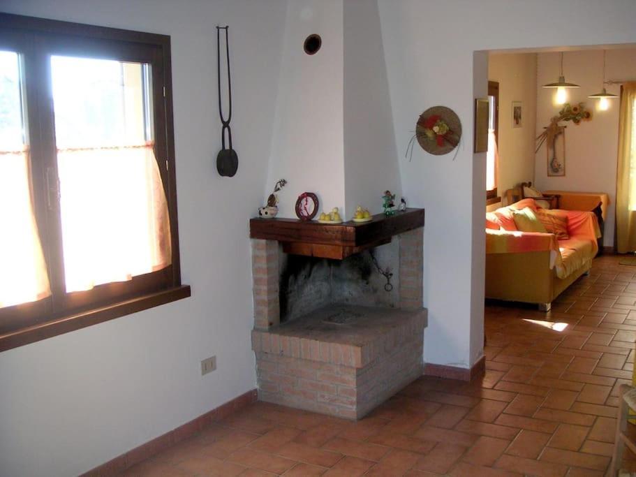 Casa Belvedere -Tranquillita Tra Bosco E Ulivi- Riparbella Exterior foto