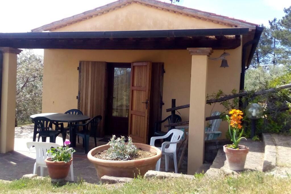 Casa Belvedere -Tranquillita Tra Bosco E Ulivi- Riparbella Exterior foto