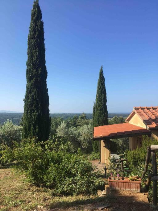 Casa Belvedere -Tranquillita Tra Bosco E Ulivi- Riparbella Exterior foto